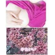 ヒメ日記 2026/03/28 16:46 投稿 あさみ 所沢東村山ちゃんこ