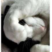 ヒメ日記 2026/04/03 15:45 投稿 あさみ 所沢東村山ちゃんこ