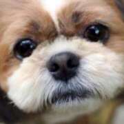 ヒメ日記 2026/04/04 15:47 投稿 あさみ 所沢東村山ちゃんこ