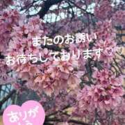 ヒメ日記 2026/04/05 02:45 投稿 あさみ 所沢東村山ちゃんこ