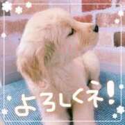 ヒメ日記 2026/04/09 19:16 投稿 あさみ 所沢東村山ちゃんこ