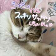 ヒメ日記 2026/07/09 10:00 投稿 あさみ 所沢東村山ちゃんこ