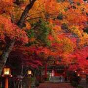 ヒメ日記 2025/10/11 19:18 投稿 あさみ 西東京市小平ちゃんこ