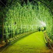 ヒメ日記 2025/10/18 09:45 投稿 あさみ 西東京市小平ちゃんこ