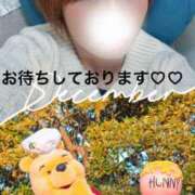 ヒメ日記 2025/12/18 11:01 投稿 あさみ 西東京市小平ちゃんこ