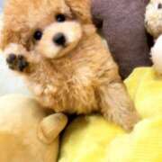 ヒメ日記 2026/02/01 02:00 投稿 あさみ 西東京市小平ちゃんこ