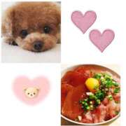 ヒメ日記 2026/02/01 16:45 投稿 あさみ 西東京市小平ちゃんこ