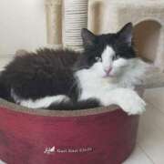 ヒメ日記 2026/02/02 13:02 投稿 あさみ 西東京市小平ちゃんこ