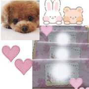 ヒメ日記 2026/02/12 12:01 投稿 あさみ 西東京市小平ちゃんこ