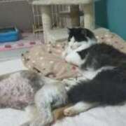 ヒメ日記 2026/02/15 16:39 投稿 あさみ 西東京市小平ちゃんこ