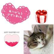 ヒメ日記 2026/02/16 02:00 投稿 あさみ 西東京市小平ちゃんこ