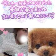 ヒメ日記 2026/02/24 02:00 投稿 あさみ 西東京市小平ちゃんこ