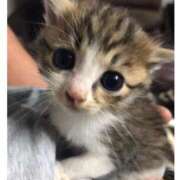 ヒメ日記 2026/02/28 19:12 投稿 あさみ 西東京市小平ちゃんこ