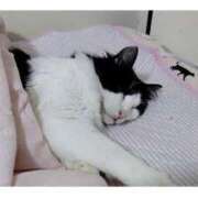 ヒメ日記 2026/03/04 02:45 投稿 あさみ 西東京市小平ちゃんこ