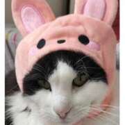 ヒメ日記 2026/03/08 16:39 投稿 あさみ 西東京市小平ちゃんこ