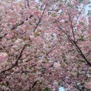 ヒメ日記 2026/04/15 11:45 投稿 あさみ 西東京市小平ちゃんこ