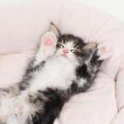 ヒメ日記 2026/04/16 11:45 投稿 あさみ 西東京市小平ちゃんこ