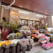 ヒメ日記 2025/10/27 13:33 投稿 新人あめ DRAMA（ドラマ）