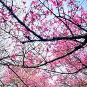 新人あめ 春の嵐。 DRAMA（ドラマ）