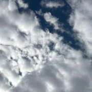 ヒメ日記 2025/11/03 11:44 投稿 らて★純真無垢なロリカワJD★ 渋谷S級素人清楚系デリヘル chloe