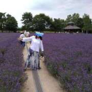 ヒメ日記 2025/07/24 10:22 投稿 じゅな エマニエル
