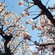 ヒメ日記 2026/03/08 11:12 投稿 じゅな エマニエル