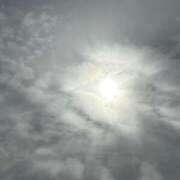 ヒメ日記 2025/11/01 11:31 投稿 らて★純真無垢なロリカワJD★ S級素人清楚系デリヘル chloe