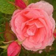 ヒメ日記 2025/10/06 06:20 投稿 琴声（ことこ） フュージョンスパ