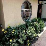 ヒメ日記 2025/11/07 12:17 投稿 琴声（ことこ） フュージョンスパ