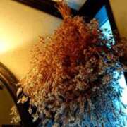 ヒメ日記 2025/12/01 12:28 投稿 琴声（ことこ） フュージョンスパ