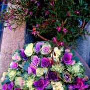 ヒメ日記 2026/01/17 07:37 投稿 琴声（ことこ） フュージョンスパ