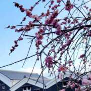 ヒメ日記 2026/02/06 09:15 投稿 琴声（ことこ） フュージョンスパ