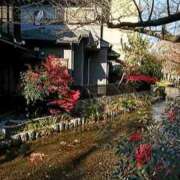 ヒメ日記 2026/02/24 12:03 投稿 琴声（ことこ） フュージョンスパ