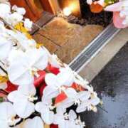 ヒメ日記 2026/03/03 09:15 投稿 琴声（ことこ） フュージョンスパ