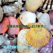 ヒメ日記 2026/08/12 12:46 投稿 琴声（ことこ） フュージョンスパ