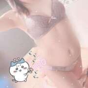 ヒメ日記 2025/11/11 10:55 投稿 くれあ 奥様はエンジェル　国分寺店