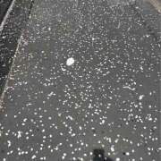 ヒメ日記 2026/04/06 15:01 投稿 すみ 世界のあんぷり亭 大崎広小路店
