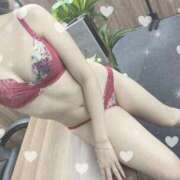 ヒメ日記 2025/12/09 05:31 投稿 桃沢せり 華椿