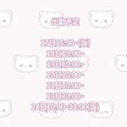 ヒメ日記 2025/11/16 15:10 投稿 みより 石庭