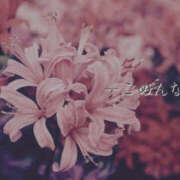 ヒメ日記 2026/02/01 19:05 投稿 三浦なぎさ セカンドパートナー