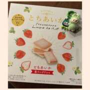 ヒメ日記 2025/10/24 13:20 投稿 アリス ZERO