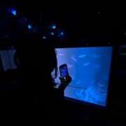 ヒメ日記 2025/09/29 21:58 投稿 すもも 池袋ぱんぷきん（シンデレラグループ）