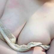 すもも 出勤 池袋ぱんぷきん（シンデレラグループ）