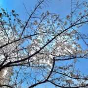 ヒメ日記 2026/03/30 16:20 投稿 月島なな やみつきエステ錦糸町店