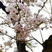 ヒメ日記 2026/04/05 12:49 投稿 月島なな やみつきエステ錦糸町店