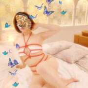 ヒメ日記 2025/11/24 13:07 投稿 二宮 変態美熟女お貸しします。