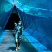 ヒメ日記 2025/11/07 08:01 投稿 いおり ロイヤルフラッシュ