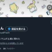 ヒメ日記 2025/11/22 06:00 投稿 いおり ロイヤルフラッシュ