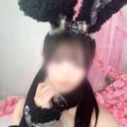 ヒメ日記 2025/12/19 11:00 投稿 いおり ロイヤルフラッシュ