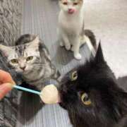 ヒメ日記 2025/10/03 18:48 投稿 うい 天使のゆびさき 船橋店(カサブランカグループ)